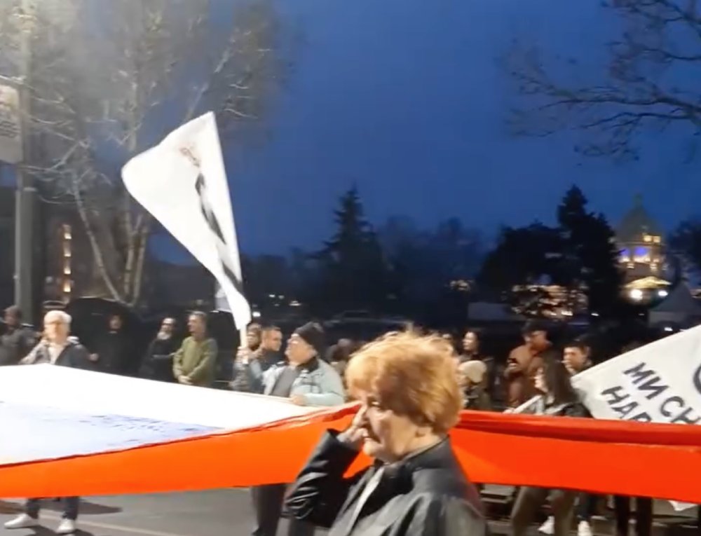 Read more about the article Порука проф. др Данице Грујичић са протеста против издаје и окупације Србије и КиМ